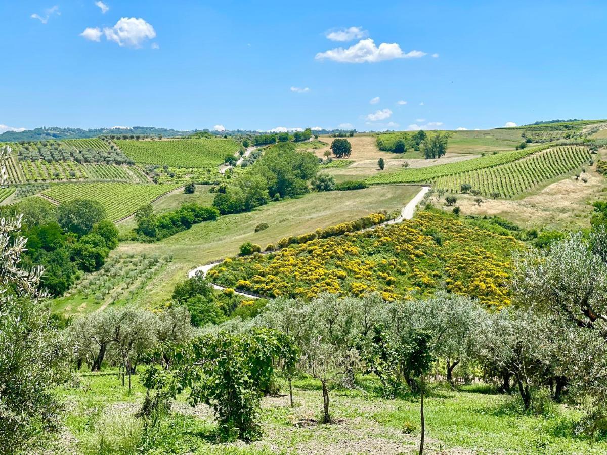 Agriturismo Le Masciare Paternopoli 외부 사진