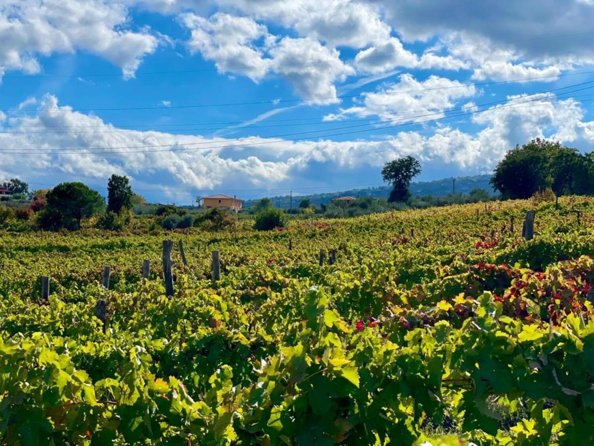 Agriturismo Le Masciare Paternopoli 외부 사진